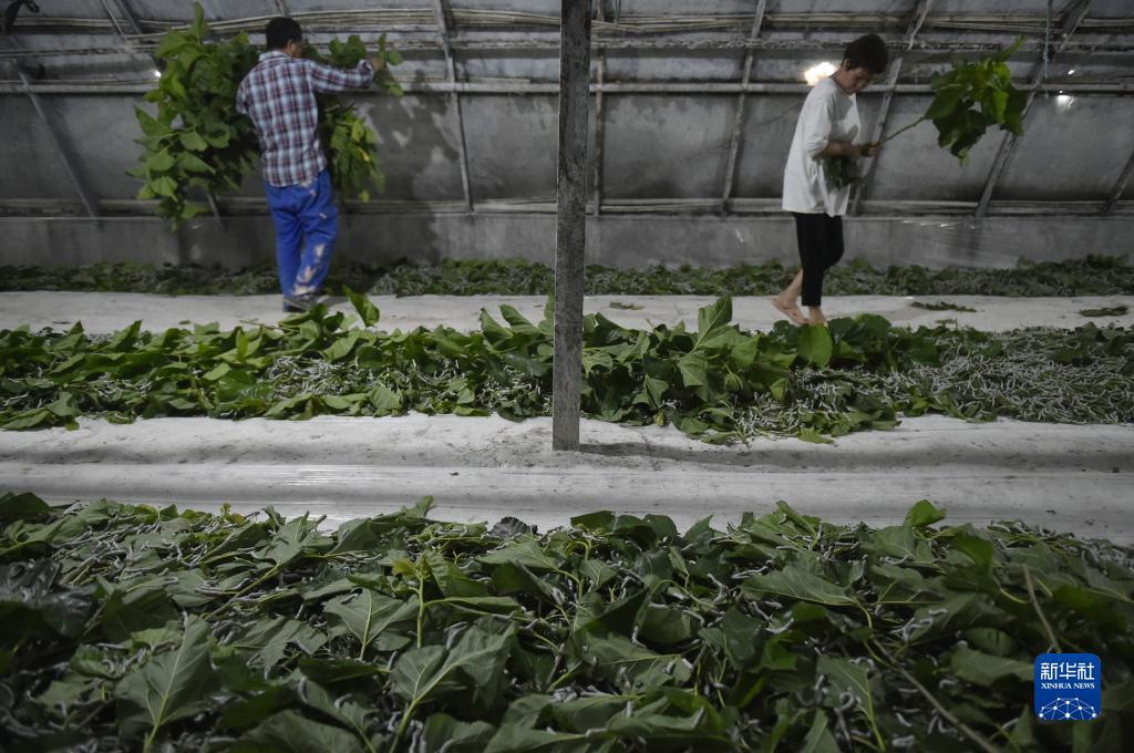 太阳成集团网址